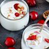 Freshly Fermented  Meso Organic Certified Freeze Dried Yoghurt Starter Culture, Caspian view 2