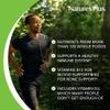 NaturesPlus Source of Life Gold Drink Mix Powder - Whole Food Multivitamin and Mineral for Energy and Immune Support - Vegetarian, Dairy and Gluten Free - 60 Servings, 540g view 3