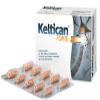 2 x 20 tablets KELTICAN FORTE/Total 40 pcs/ view 1