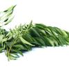 Fresh Curry Leaves 50G view 1