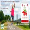 Rosehip Capsules - High Strength Rosehip Supplement with Vitamin C to Support Joint Health, Bones, Cartilage and Collagen Formation - 120 Vegan Rosehip Capsules. Up to 4 Months Supply. view 3