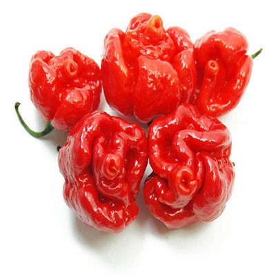 Trinidad Moruga Scorpion 106 ml. - L'albero dei golosi