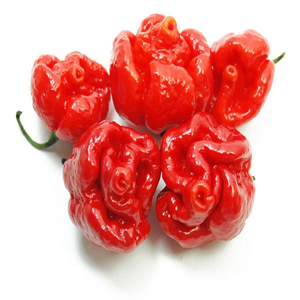 Trinidad Moruga Scorpion 106 ml. - L'albero dei golosi