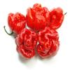 Trinidad Moruga Scorpion 106 ml. - L'albero dei golosi view 1