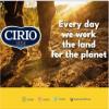 Cirio Tomato Pure, Double Concentrated, Italian Tomato Paste, Pots 70g (Pack of 4) view 4