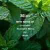 Mrs. Meyer's - Clean Day Liquid Dish Soap Mint - 16 fl. oz. view 2