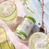 Double Dutch Cucumber & Watermelon Soda | Low Calorie Diet Soft Drink | 100% Natural Ingredients | Gluten Free, Vegan Friendly Premium Mixer Perfect For Gin, Vodka & Cocktails | 24 x 150ml Cans view 2