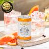 Double Dutch Indian Tonic Water | Classic Indian Tonic Water with Natural Bitterness | Gluten Free, Vegan Friendly Premium Mixer Perfect For Gin & Cocktails | 24 x 150ml Cans view 4