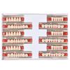 Angzhili 84 Pcs Dental Acrylic Resin Denture False Teeth 3 Sets Synthetic Polymer Resin Denture Teeth 23 Shade A2 Upper + Lower Dental Materials view 1