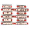 Angzhili 84 Pcs Dental Acrylic Resin Denture False Teeth 3 Sets Synthetic Polymer Resin Denture Teeth 23 Shade A2 Upper + Lower Dental Materials view 2