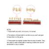 Angzhili 84 Pcs Dental Acrylic Resin Denture False Teeth 3 Sets Synthetic Polymer Resin Denture Teeth 23 Shade A2 Upper + Lower Dental Materials view 4