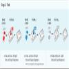 HIV Self Test INSTI - Home Test Kit, Instant Results, 99% Accurate, CE Marked view 3