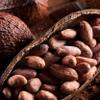 Amedei Dark Chocolate Luxury Selection - 3 Bars 150g view 3