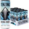 TENZING Natural Energy Drink, Plant Based, Vegan, & Gluten Free Drink, Original Recipe, 250ml (Pack of 12) - Packaging may vary view 1
