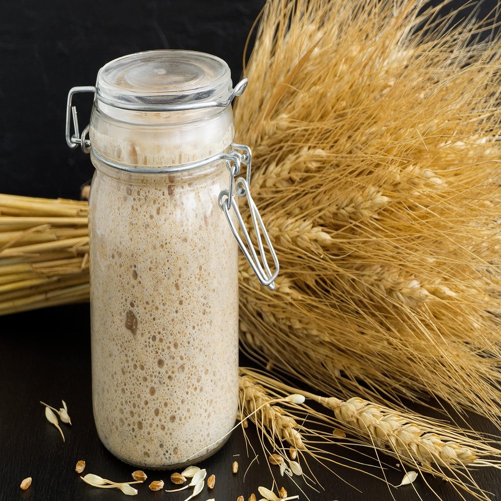 Certified Organic San Francisco Live Sourdough Bread Starter - UKAS Lab Tested by Kombuchaorganic with printed instruction