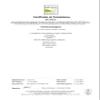 Certified Organic San Francisco Live Sourdough Bread Starter - UKAS Lab Tested by Kombuchaorganic with printed instruction view 2