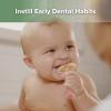 haakaa 360 Silicone Baby Toothbrush Teether with Suction Base Infant Toothbrush Training Massage Teether for Baby,1pc view 2