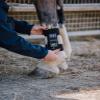 ArcEquine Complete Kit view 4