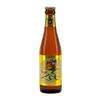 Brugse Zot 330ml - Case of 12 view 2