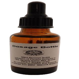 Alpine Mint Bush Using Australian Bush Flower Essence 30ml Dosage