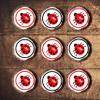 Ladybird Edible Cupcake Toppers  Cute Bug-Themed Cake Decorations for Garden Parties & Nature Celebrations  Stand Up Wafer Card 24 x 4cm/1.5 Inch Disc (PRECUT) view 2