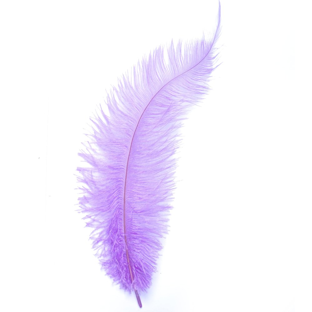 Ostrich Feathers - 10" - 12" / 25cm - 30cm - Pick Quantity / 25 Colours (Lilac, 5 x Ostrich Feathers)