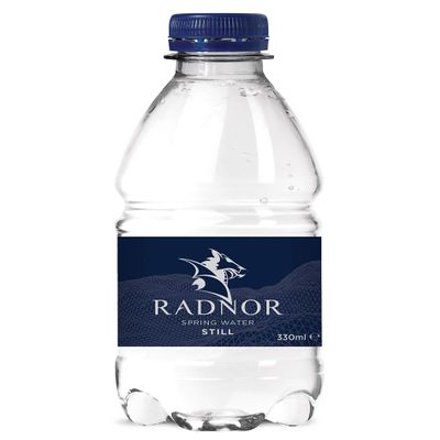 Radnor Hills Still Spring Water - 24x330ml