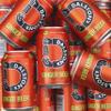 Dalston's Ginger Beer (24 x 330ml) - Real Pressed Ginger & Sparkling Water - 49 Kcal - No Added Sugar - No Artificial Sweeteners - Healthy Alternative - Low Calorie - Vegan view 4