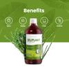G7 Siliplant Improved Formula. Liquid Silica Supplement Collagen Booster, Strengthens Bones and Joints Supplements, Boosts Skin Elasticity. 33-Day Treatment. view 4