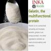 Granulated gelatin HALAL, 250 bloom, neutral flavor - 1 kg view 3