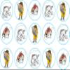 15 x 2 inch fishing cupcake toppers fairy edible icing view 1