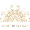 WHITE to BROWN Body Coconut Body Spritz. Prepare your body for Tanning & Prolong your tan with this Nourishing and Hydrating Self Tan Optimiser and Maintainer, 250ml view 4