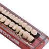 Angzhili Dental Acrylic Resin Denture Tooth Kit False Tooth For Halloween Horror Prop 23 A2(28 Pcs/Set) view 4