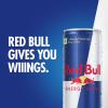 Red Bull Energy Drink, 250 ml (4 Pack) view 2