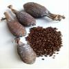 Ghana Alligator Pepper mbongo spice hepper Pepper (10) view 1