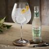 Fever Tree Tonic Water Mixed Set Pack (6 x 200ml) view 3