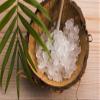 40g Live Water Kefir Grains - Certified Organic from Kombuchaorganic Large Sachet UKAS Lab tested - Great VALUE and Outstanding and Unique Quality Cultures view 1