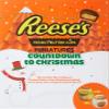 Reese's Advent Calendar 250g (Pack of 2) view 1