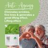 Aloe Vera Gel Bio Pure 100% Natural Lanzarote: Aloe Vera After Sun, Face Care, Face Moisturiser, Body Moisturiser, Hair Care, After Wax, Shave, Tattoo, Hydrating, Soothing - 250 ml view 3