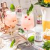 Double Dutch Pomegranate and Basil Tonic Water, Low Calorie Perfect Mixer for Cocktails, No Artificial Colours Preservatives or Flavours, 200ml Bottles (Pack of 4) view 3