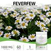 Bodygenix Feverfew 1000mg Tablets - Headaches Relief Joints Health Anti Inflammatory Natural Supplement - 60 Tablets 2 Month Supply view 2