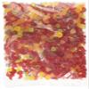 Squirrel Floral Gums & Cherry Lips Mix 500g, 0.5 kg view 1