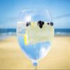 Atlantic Distillery Organic Jynerva Gin view 3