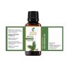 Pure Balsam Fir Needle Oil -(Abies Balsamea)- Essential Oil 100% Pure Natural Undiluted Uncut Therapeutic Grade Oil 3.38 FL.OZ view 2
