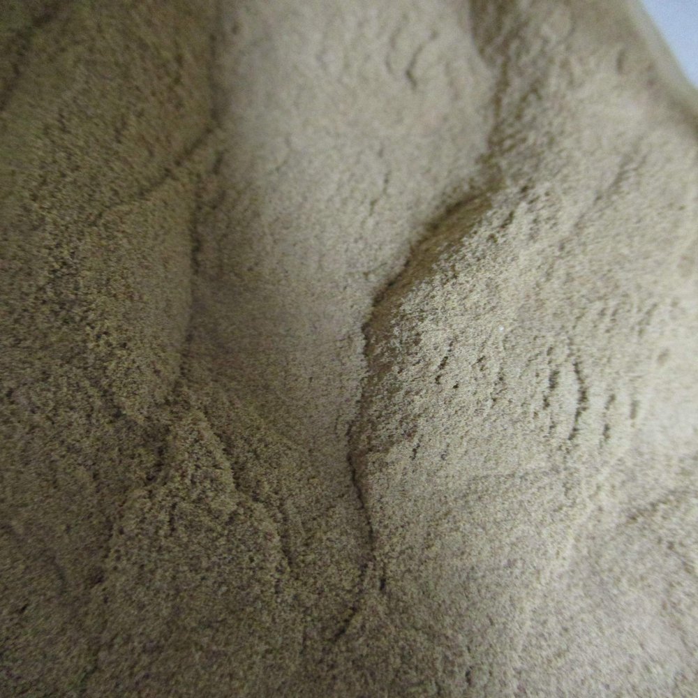 20grams GREEN TEA EXTRACT POWDER 50% EGCG