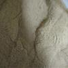 20grams GREEN TEA EXTRACT POWDER 50% EGCG view 1