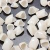 100 pcs Temporary Teeth Crown Resin Materials Realistic Oral Care Anterior Posterior Molar Crown view 4
