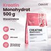 OSTROVIT Creatine - 500 g - Watermelon view 4