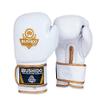 Bushido Rkawice Bokserskie Skra Biare / 10 oz view 1