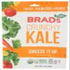 Brads Plant Based Kale Cheeze It Up Chip, 2 Oz view 1